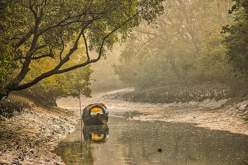 Sundarbans, Bangladesh