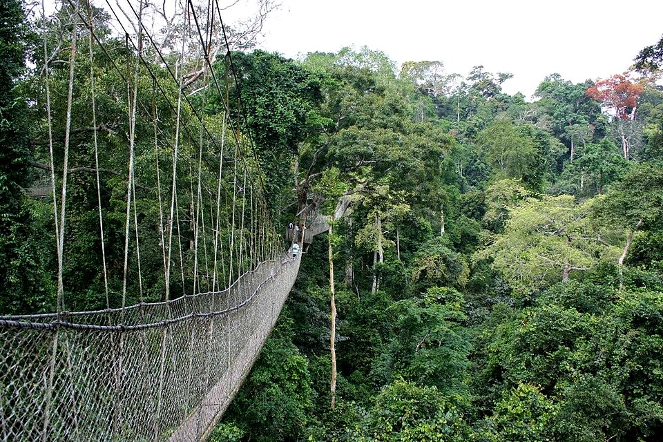 Kakum National Park, Ghana