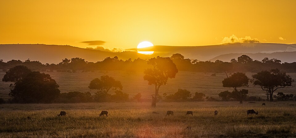 Maasai Mara, Kenya