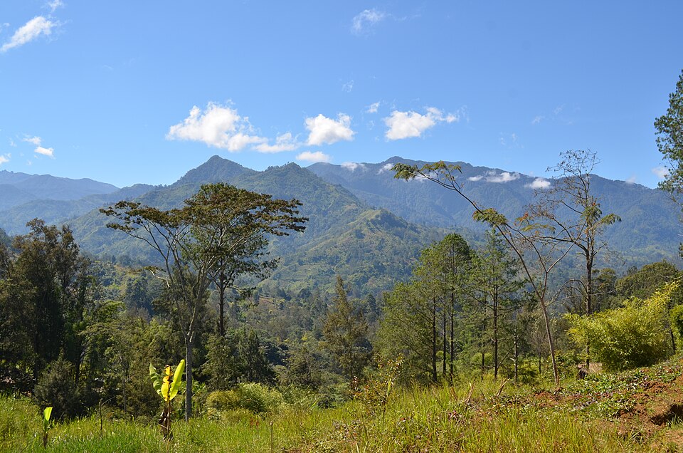 New Guinea Highlands, Papua New Guinea